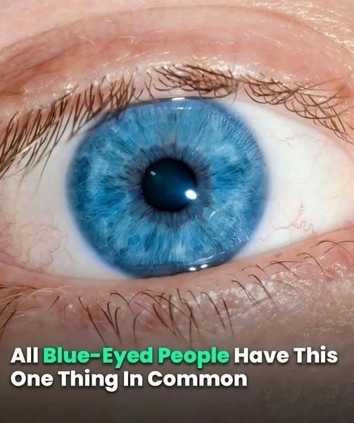 All Blue-Eyed People Have This One Thing In Common